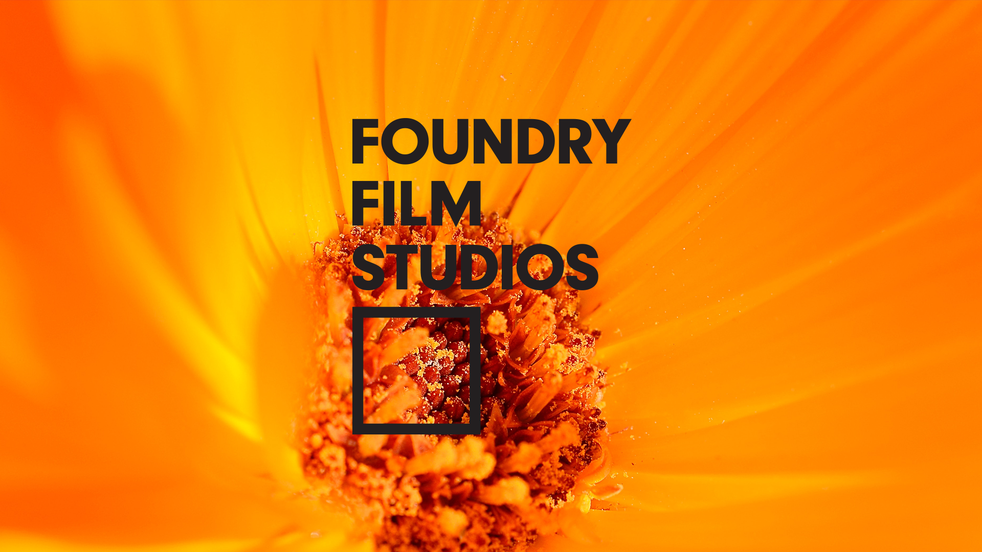 FoundryFilmStudios-Website-reel05