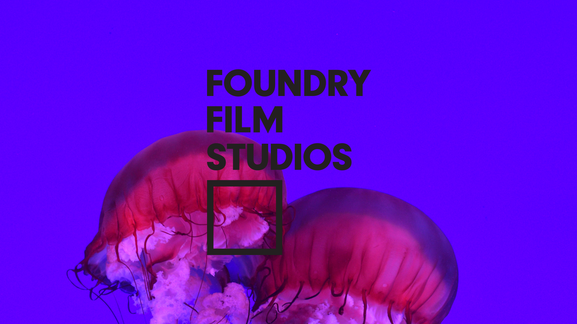 FoundryFilmStudios-Website-reel06
