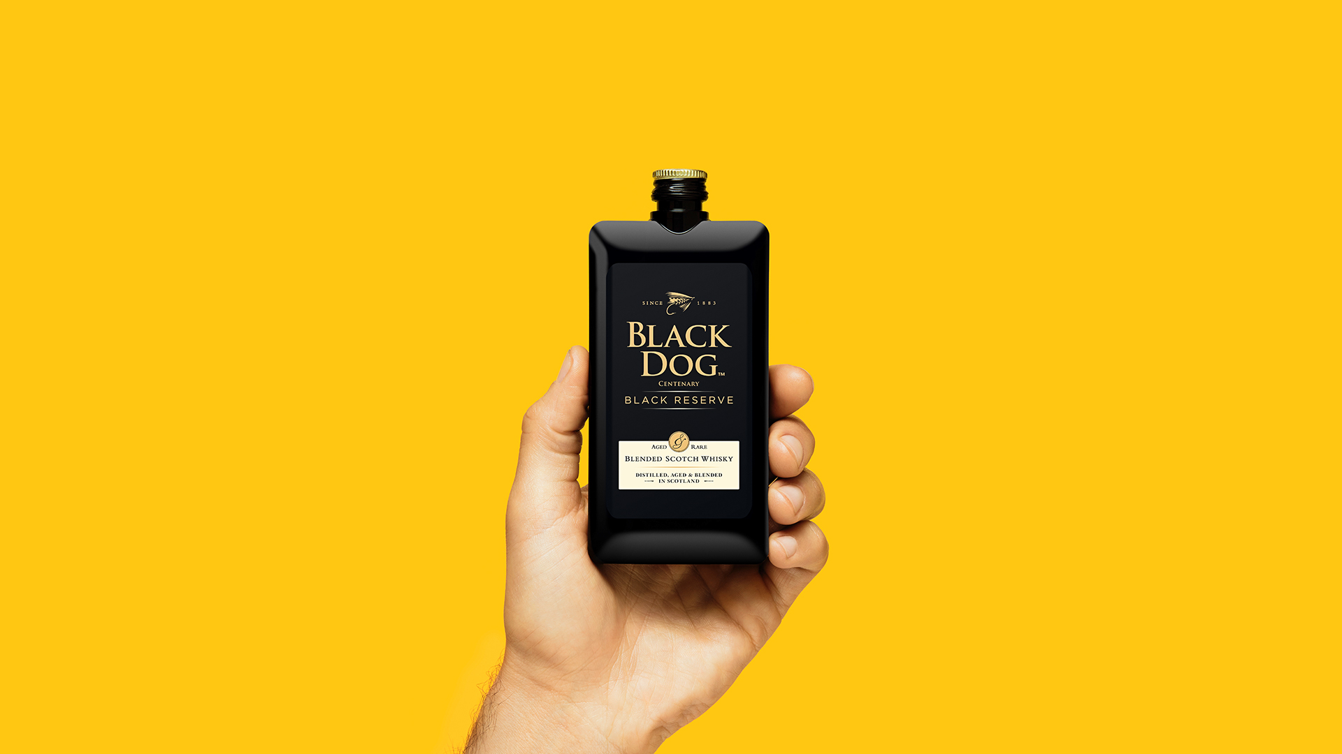 MarkArrowsmith-PocketScotch-Blackdog